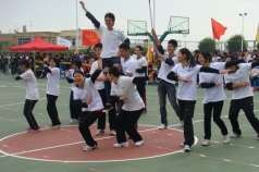 團(tuán)隊(duì)展示